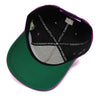 SNYC SNAPBACK 4/20